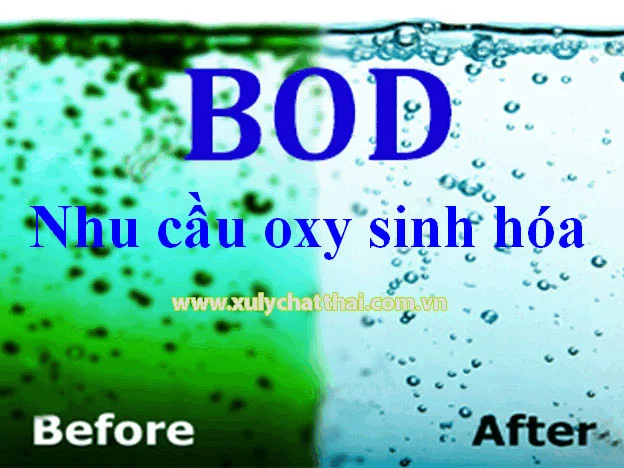 BOD là gì BOD 5 là gì