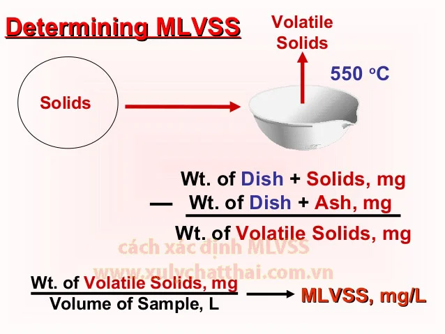 Xác định MLVSS