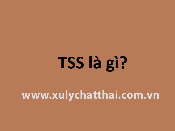 TSS là gì